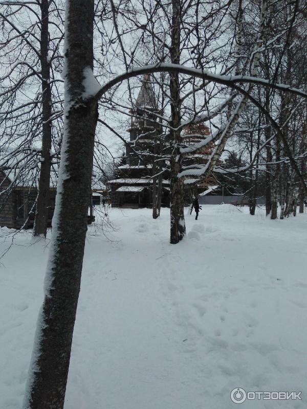 Музей Витославлицы (Россия, Новгородская область) фото