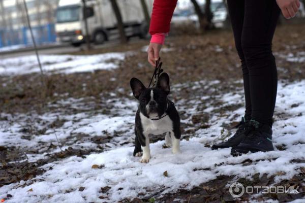 Юнона Бьютифол Из Дома Головиной 7 месяцев