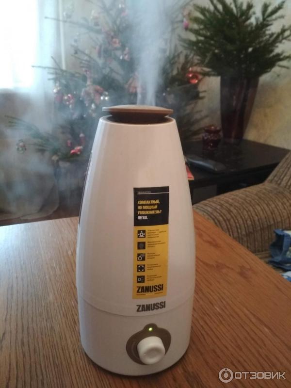 Внешний вид