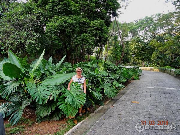 Fort Canning Park (Сингапур)