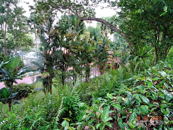 Fort Canning Park (Сингапур)