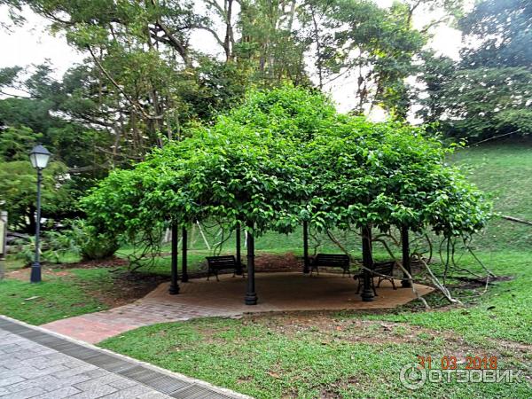 Fort Canning Park (Сингапур)