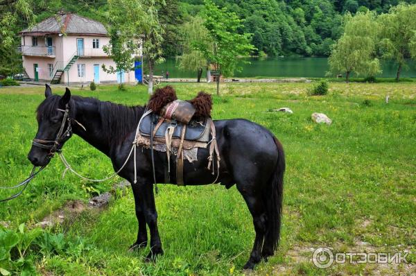 Голубые озера (Россия, Кабардино-Балкария) фото