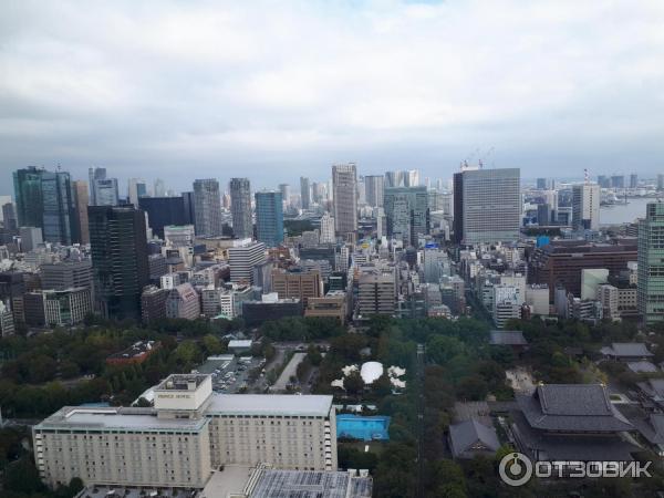 Токийская башня Tokyo Tower (Япония, Токио) фото