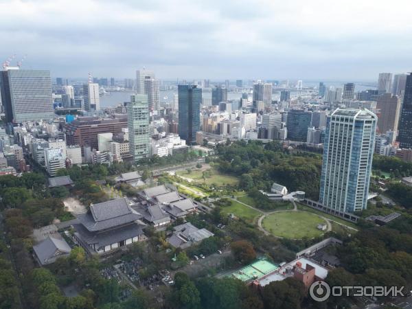 Токийская башня Tokyo Tower (Япония, Токио) фото