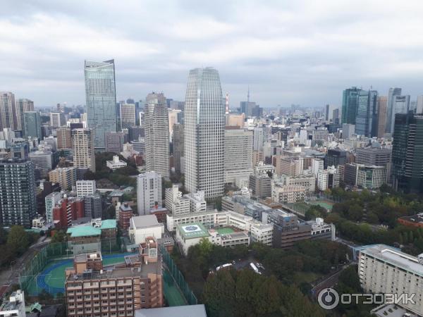 Токийская башня Tokyo Tower (Япония, Токио) фото