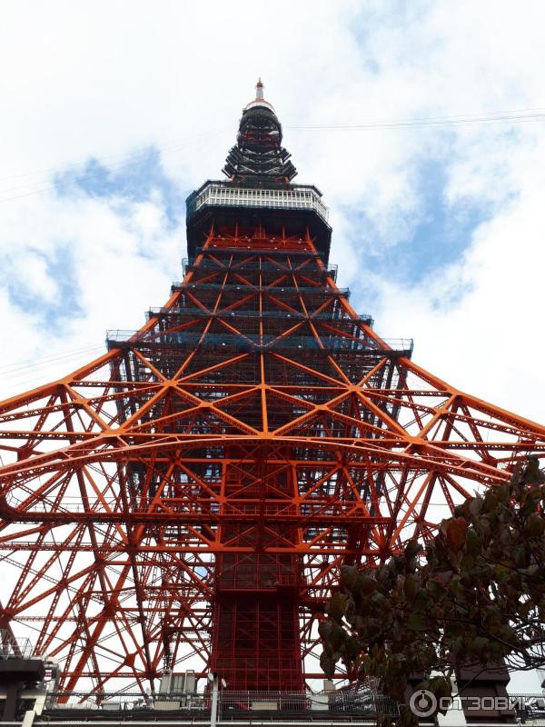 Токийская башня Tokyo Tower (Япония, Токио) фото