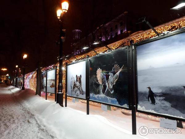 Выставка Зимние истории на Тверском бульваре (Россия, Москва) фото