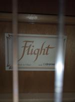 Гитара Flight С100 фото