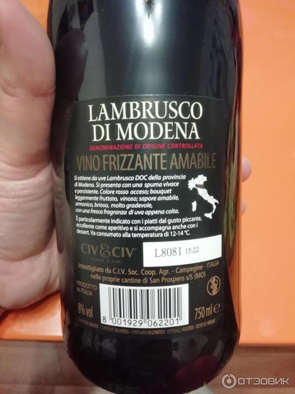 Вино игристое Lambrusco Di Modena Secco фото