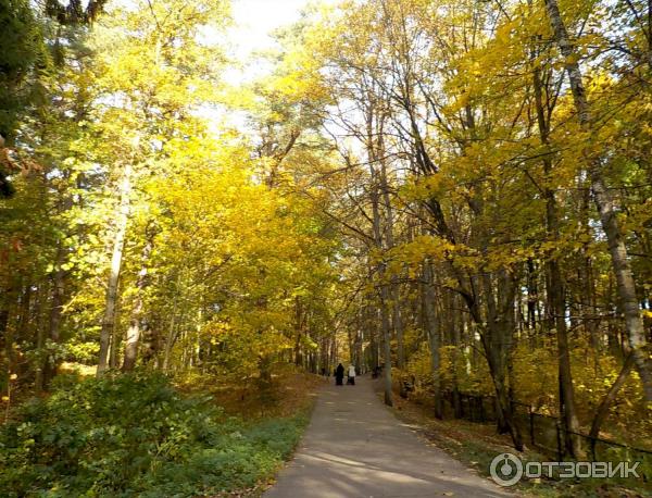 Озеро Тихое (Россия, Светлогорск) фото