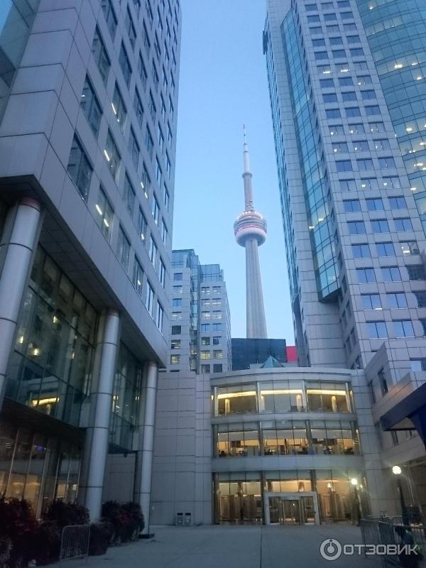 Экскурсия по CN Tower (Канада, Торонто) фото