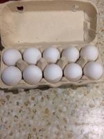 Яйца куриные Yaratelle фото