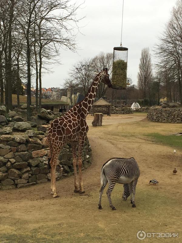 Artis Zoo Amsterdam