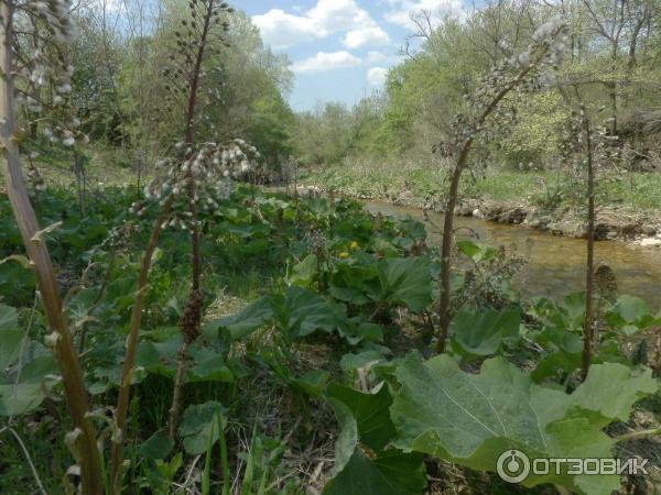 Экскурсия Большой Каньон Крыма (Крым) фото