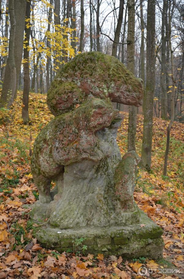 Отдых в г. Трускавец (Украина, Львовская область) фото