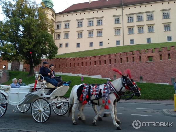 Музейный комплекс Вавельский замок (Польша, Краков) фото