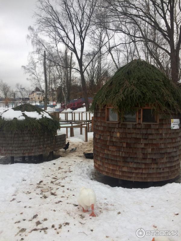 Городская ферма на ВДНХ (Россия, Москва) фото