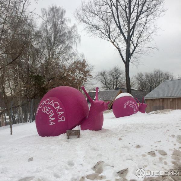 Городская ферма на ВДНХ (Россия, Москва) фото