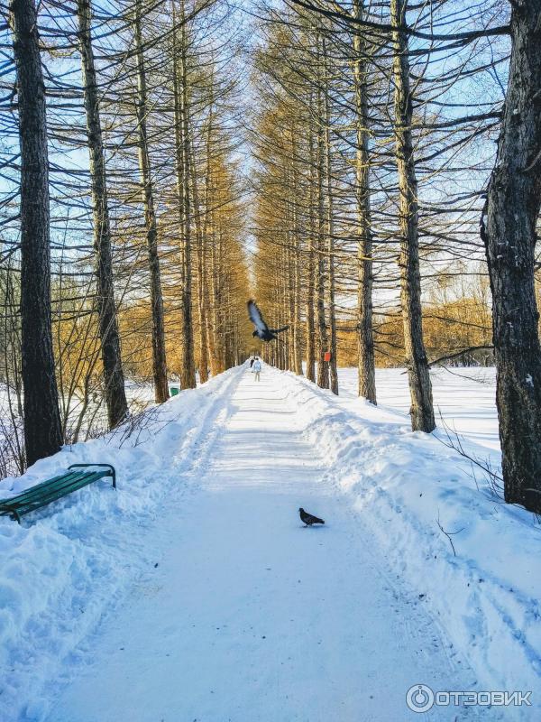 Ботанический сад УрО РАН (Россия, Екатеринбург) фото