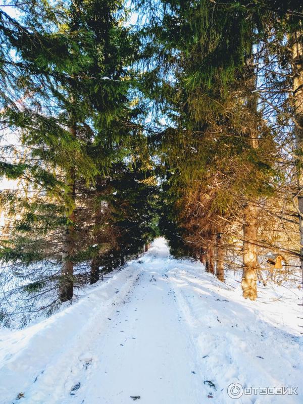 Ботанический сад УрО РАН (Россия, Екатеринбург) фото