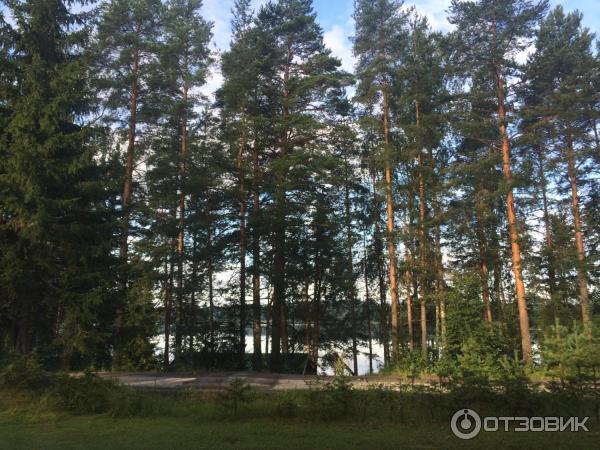 Отель-клуб Гардарика (Россия, Карелия) фото