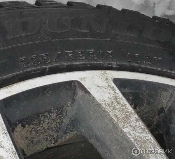 Автомобильные шины Dunlop Grandtrek Ice02 225/55 R18 102T фото