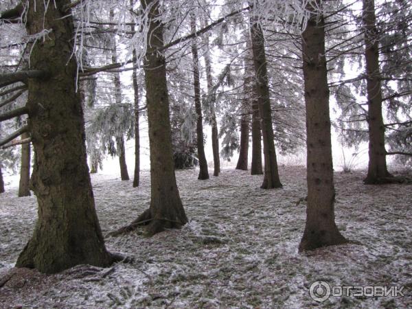 Ботанический сад (Россия, Ставрополь) фото