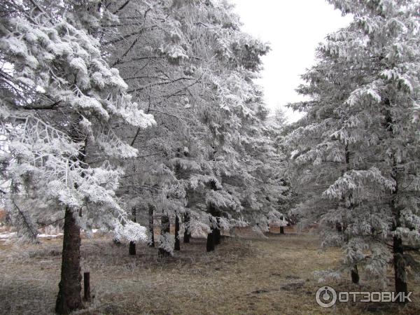 Ботанический сад (Россия, Ставрополь) фото