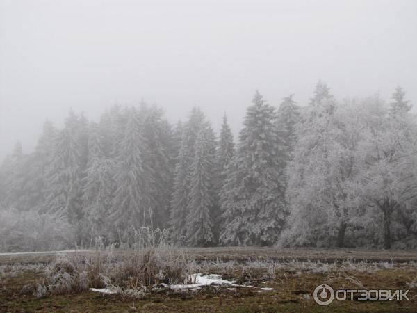 Ботанический сад (Россия, Ставрополь) фото