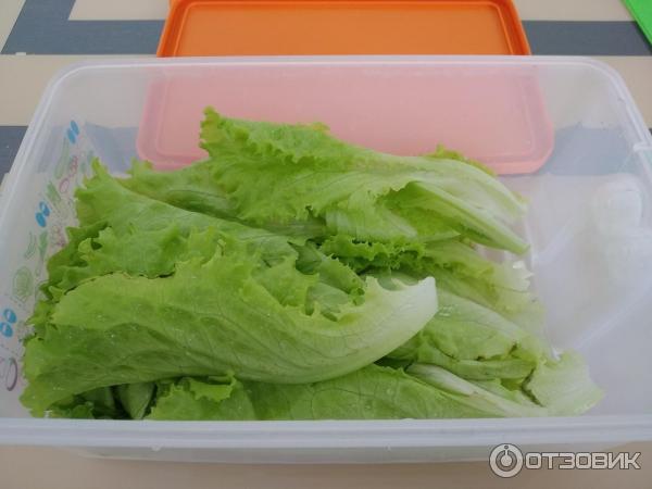 Контейнер Tupperware Умный холодильник фото