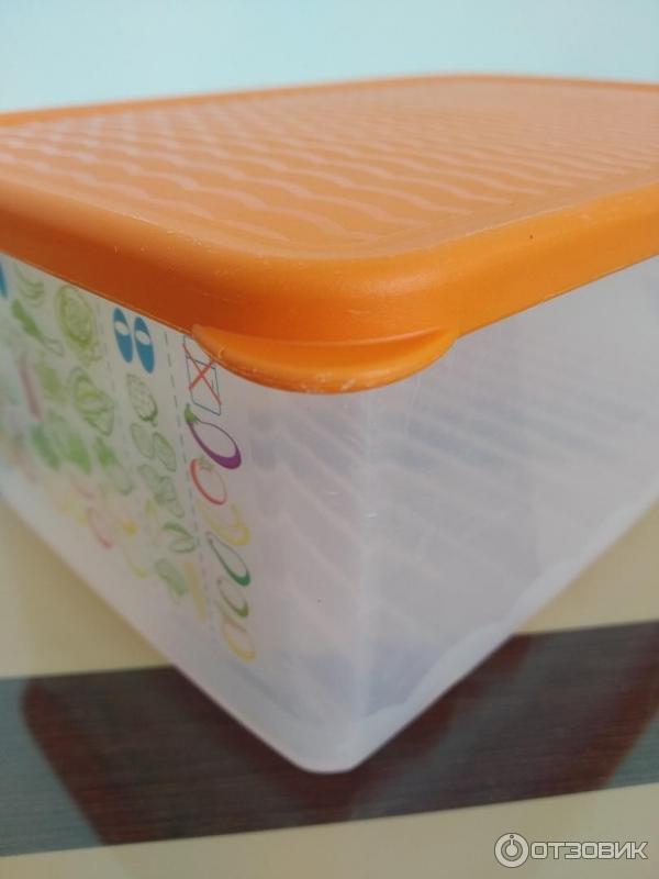 Контейнер Tupperware Умный холодильник фото