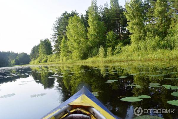 Загородный клуб Good Life (Россия, Костромская область) фото