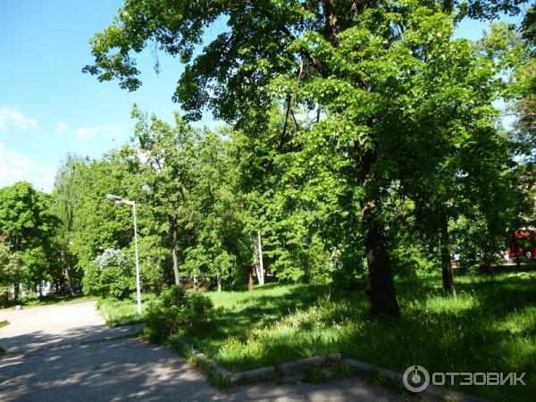 Сквер Тебриз (Россия, Казань) фото
