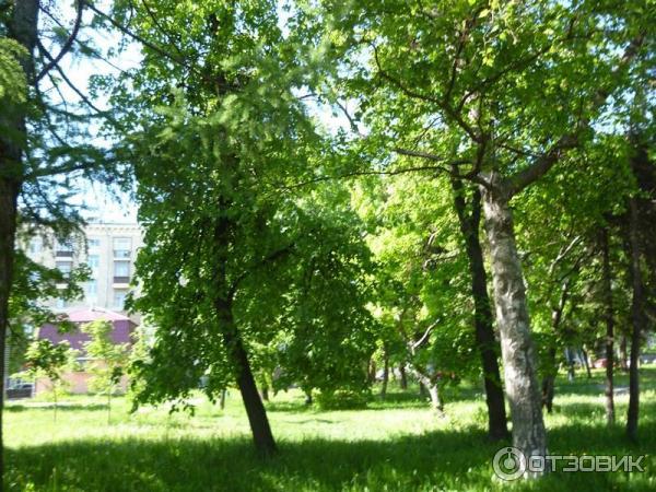 Сквер Тебриз (Россия, Казань) фото
