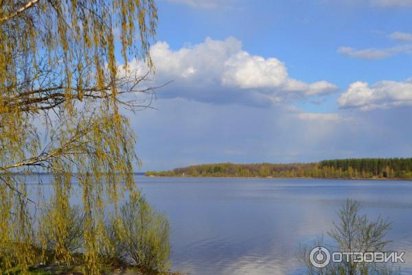 Дворец Понизовкиных (Россия, Ярославская область) фото