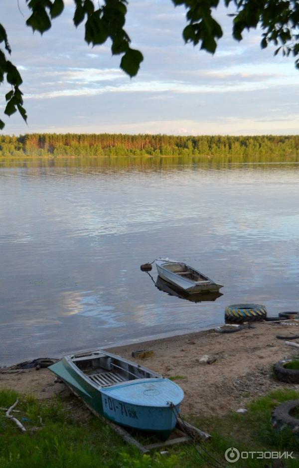 Дворец Понизовкиных (Россия, Ярославская область) фото