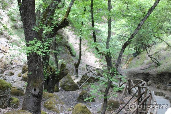 Долина Бабочек (Греция, Родос) фото