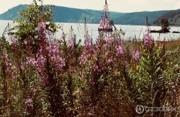 Палаточный лагерь на Байкале Пробуждение (Россия, Байкал) фото