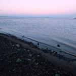 Отдых в поселке Курортное (Одесская область) фото