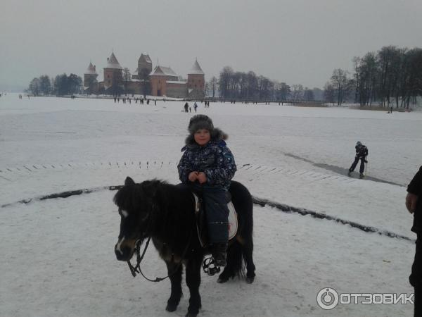 Экскурсия в Тракайский замок (Литва, Тракай) фото