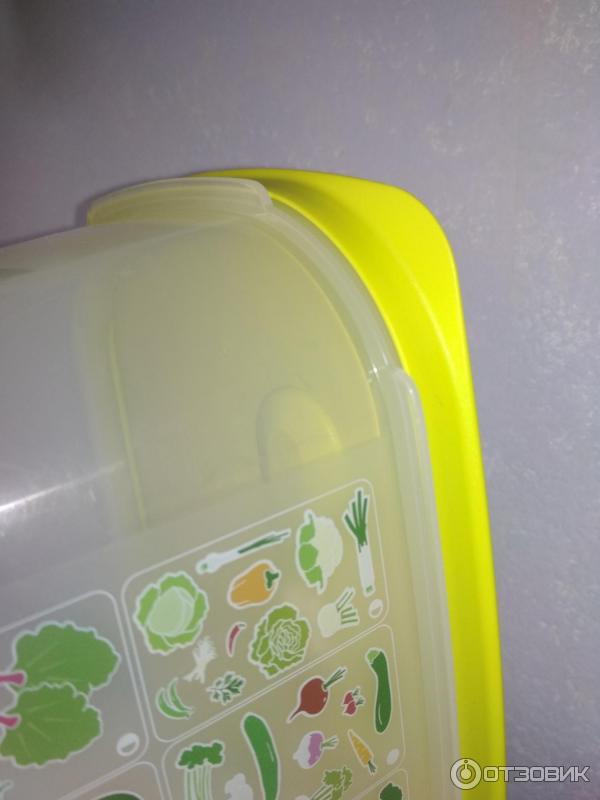 Контейнер Tupperware Умный холодильник фото