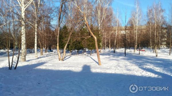 Сквер имени Гагарина (Россия, Новосибирск) фото