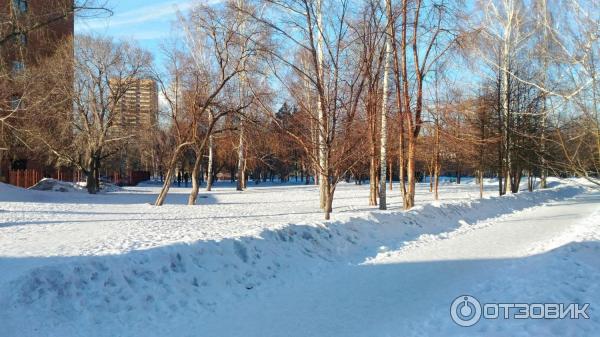 Сквер имени Гагарина (Россия, Новосибирск) фото