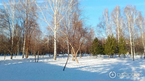 Сквер имени Гагарина (Россия, Новосибирск) фото