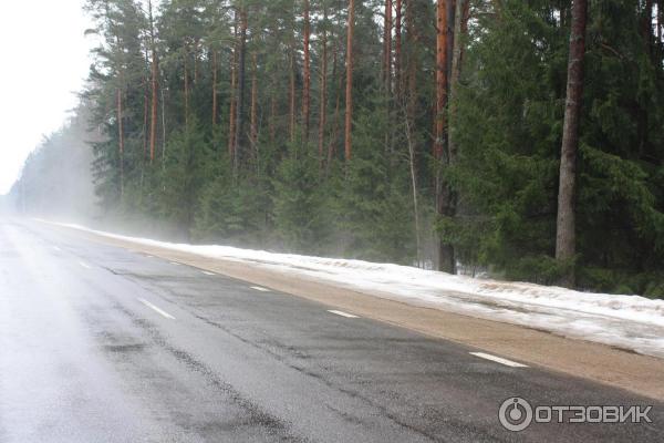 Озеро Нарочь (Беларусь, Минская область) фото