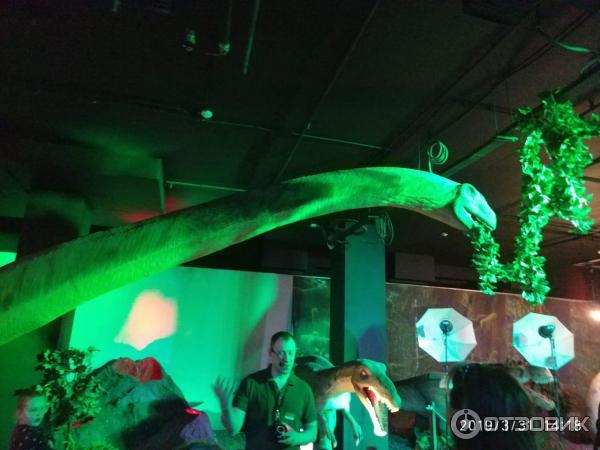 Детский развлекательный центр Dino club (Россия, Москва) фото