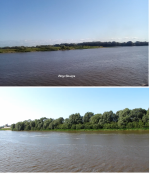 Экскурсия по реке Волхов (Россия, Великий Новгород) фото