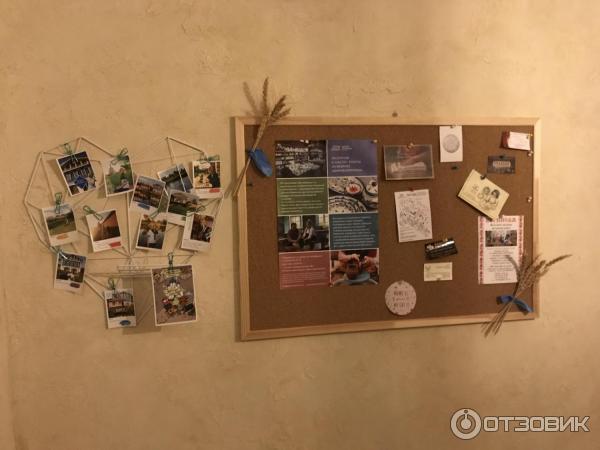 Мини-отель Дача Белый берег (Россия, Суздаль) фото