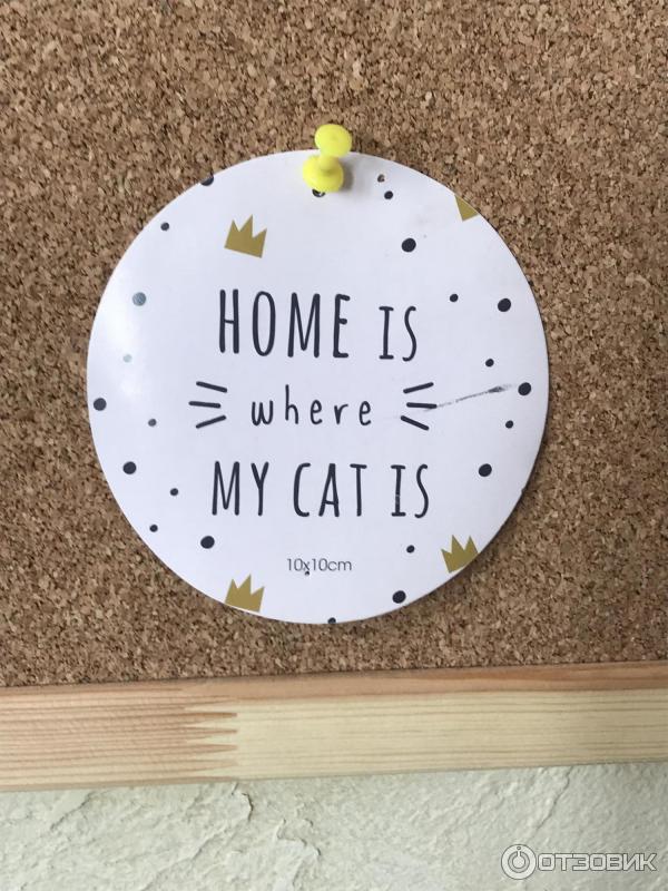 Мини-отель Дача Белый берег (Россия, Суздаль) фото